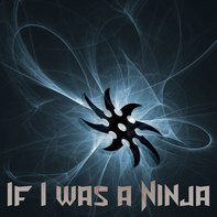 If I Was A Ninja