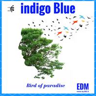 Indigo Blue